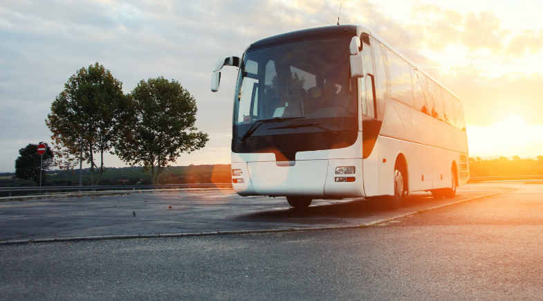 Transporte gratuito no Piauí | Reprodução