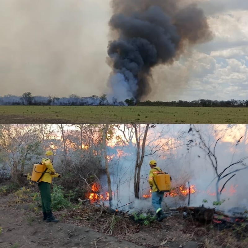  Brigada de Incêndio de Hugo Napoleão já combateu cerca de 20 incêndios nos últimos três meses - Divulgação/ASCOM