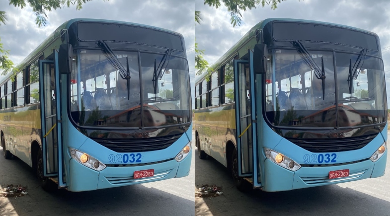 Ônibus escolares para eleitores | Reprodução
