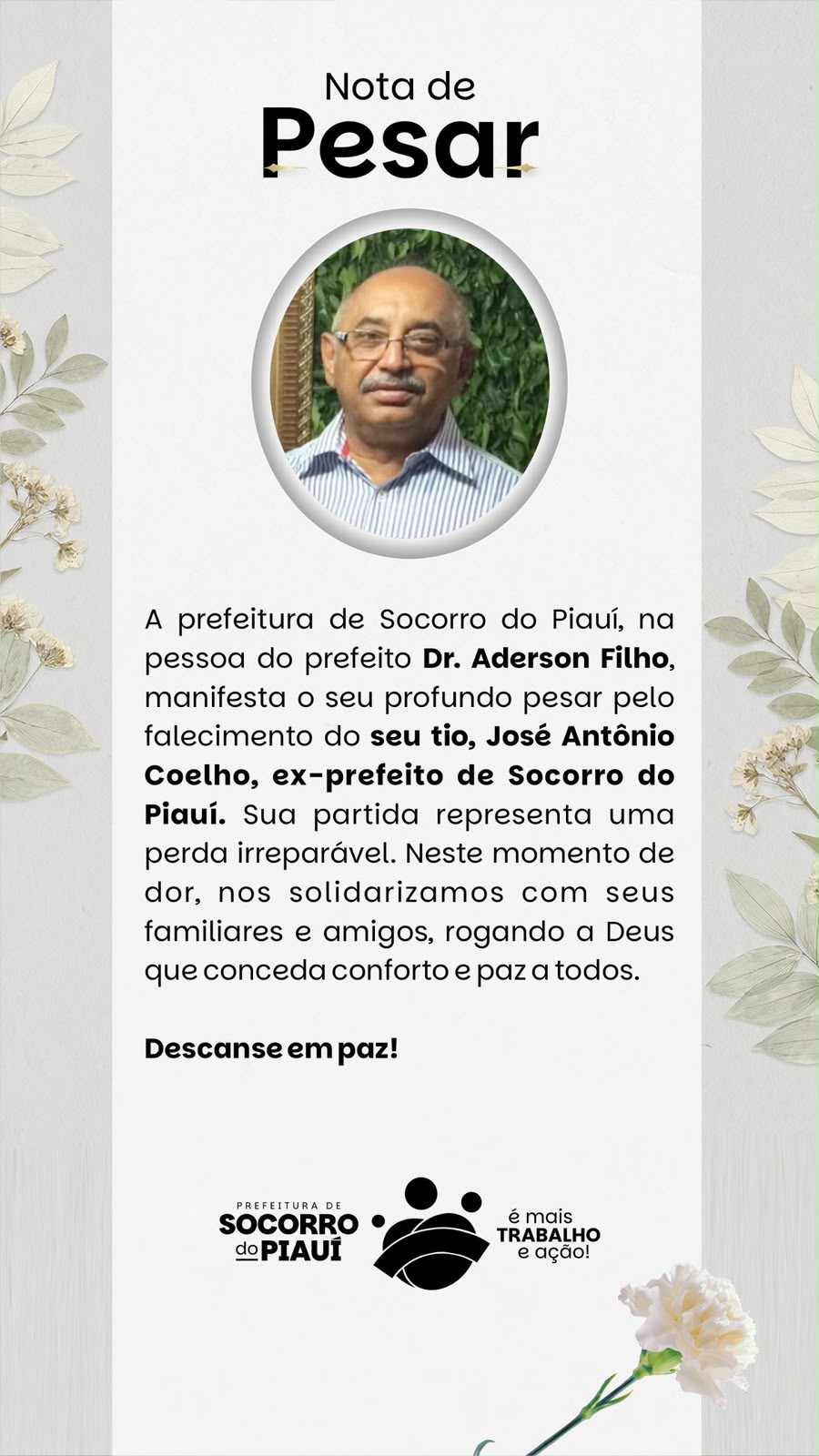 Ex-prefeito de Socorro do Piauí morre após ataque de enxame de abelhas - Imagem 1