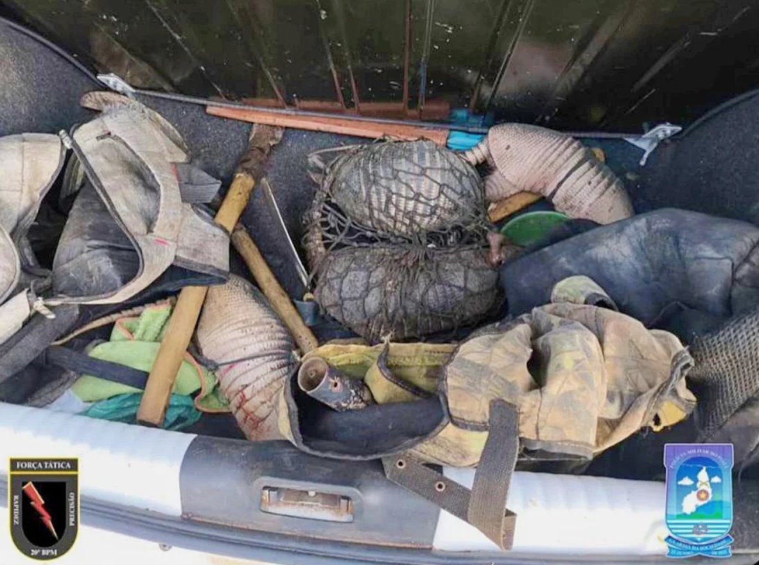 Foto: Divulgação/PMPI