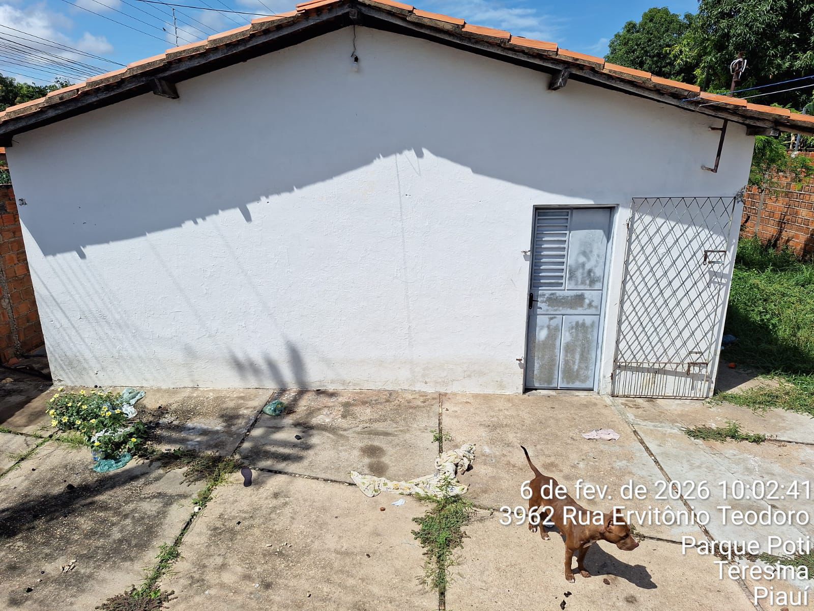 Foto: Divulgação/SSP-PI - Local onde os animais foram encontrados 