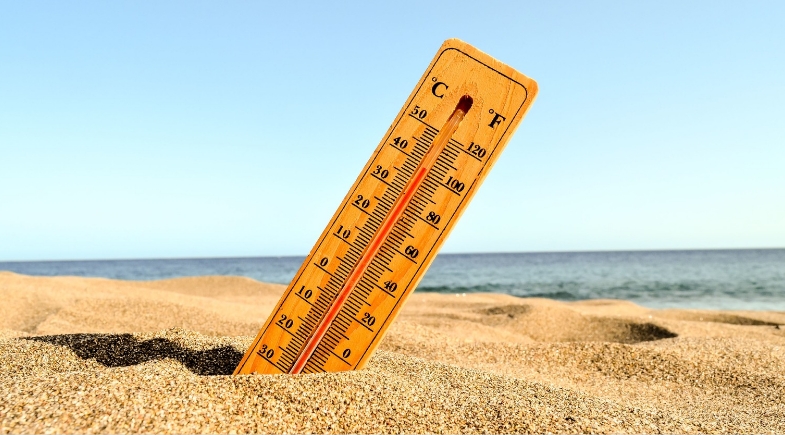 Calor extremo exige atenção: veja como a alimentação pode proteger sua saúde no verão - Imagem 1