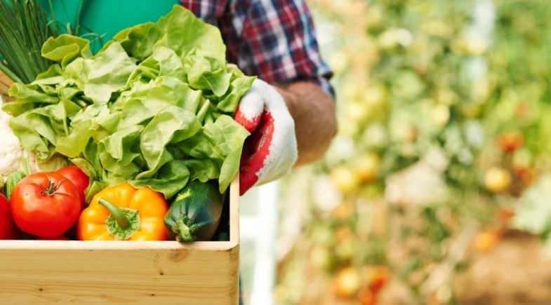 Prefeitura de Campo Largo abre Chamada Pública para cadastro no Programa de Aquisição de Alimentos