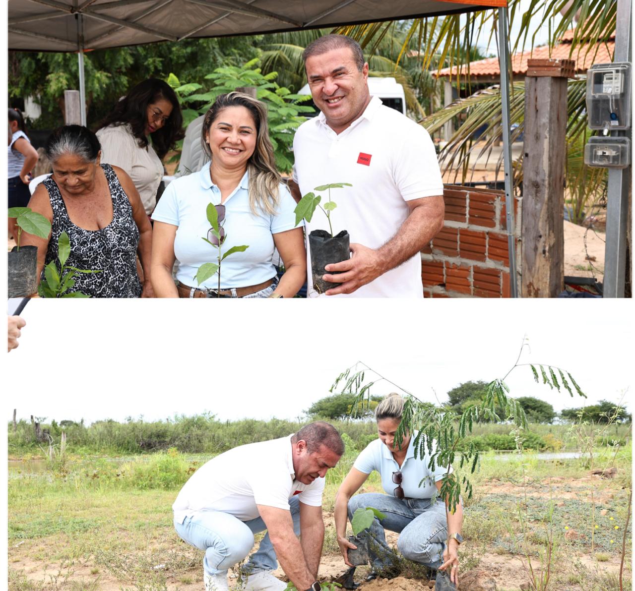 Plantio de mudas - Foto: Prefeitura de Curimatá