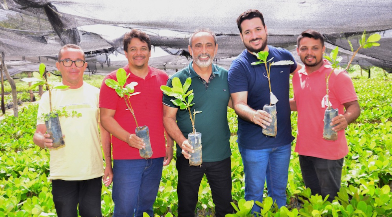 Prefeitura de Santo Antônio de Lisboa inicia distribuição de 28 mil mudas de caju e fortalece agricultura familiar