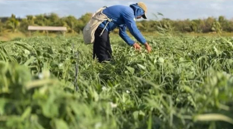 Prefeitura de Parnaíba fortalece PNAE como ferramenta de desenvolvimento local