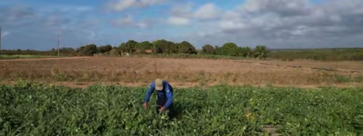 Prefeitura de Parnaíba fortalece PNAE como ferramenta de desenvolvimento local - Imagem 1