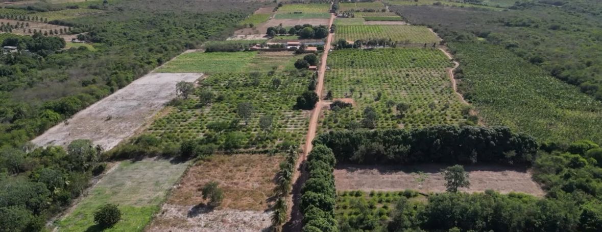 Prefeitura de Parnaíba fortalece PNAE como ferramenta de desenvolvimento local - Imagem 2