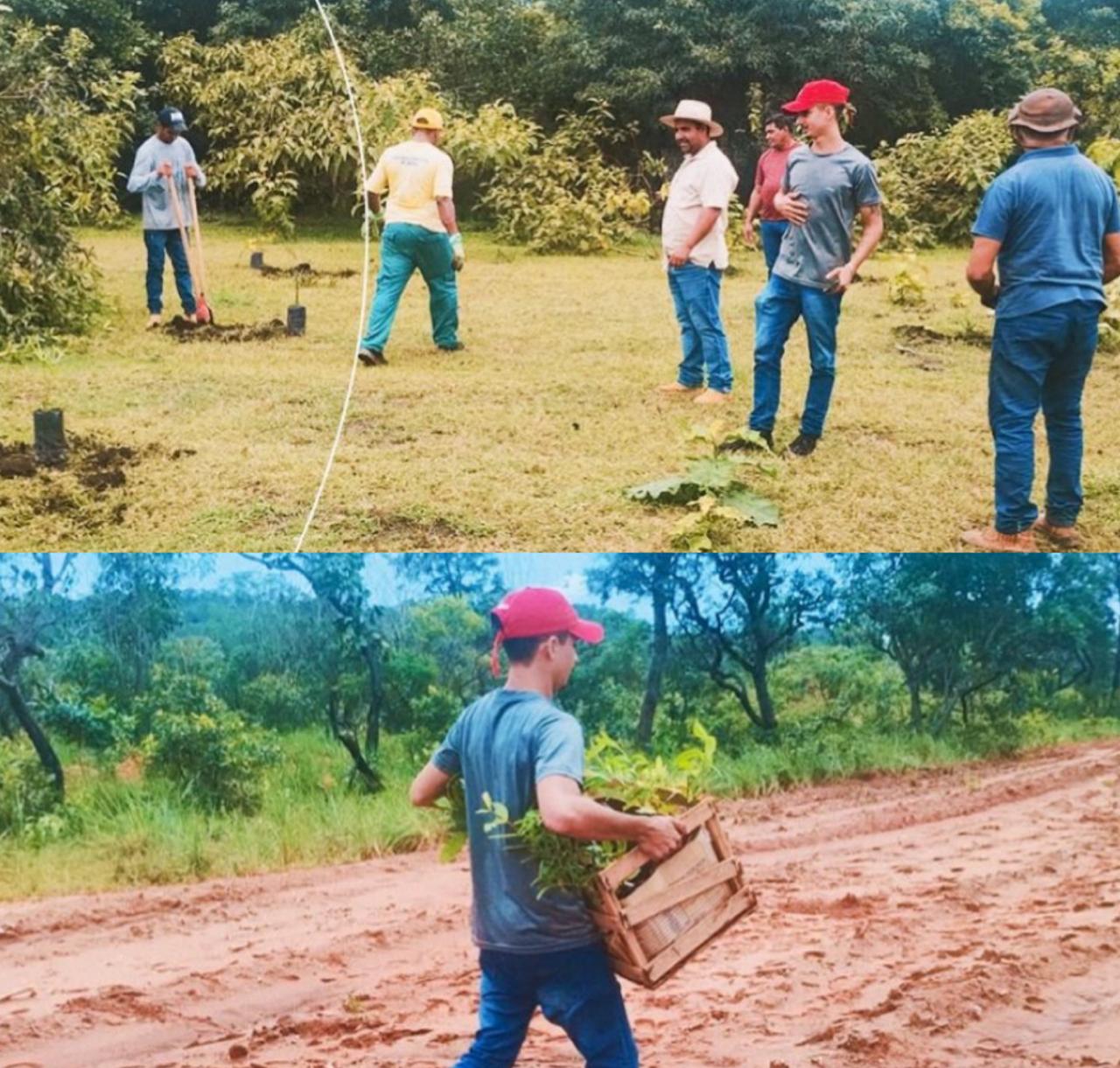 Ação de recuperação da nascente do Riacho Salto - Foto: Prefeitura de Baixa Grande do Ribeiro