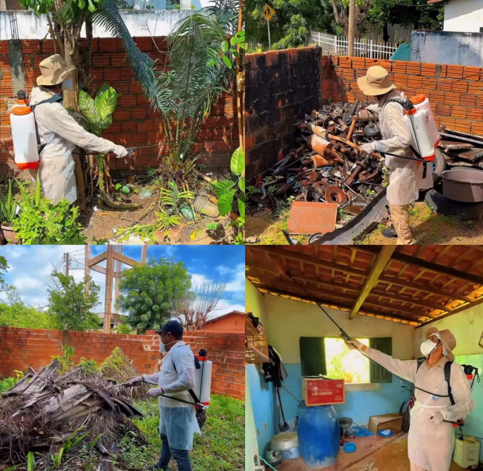 Lagoa Alegre intensifica medidas de prevenção à Leishmaniose Visceral | Fotos: Ascom