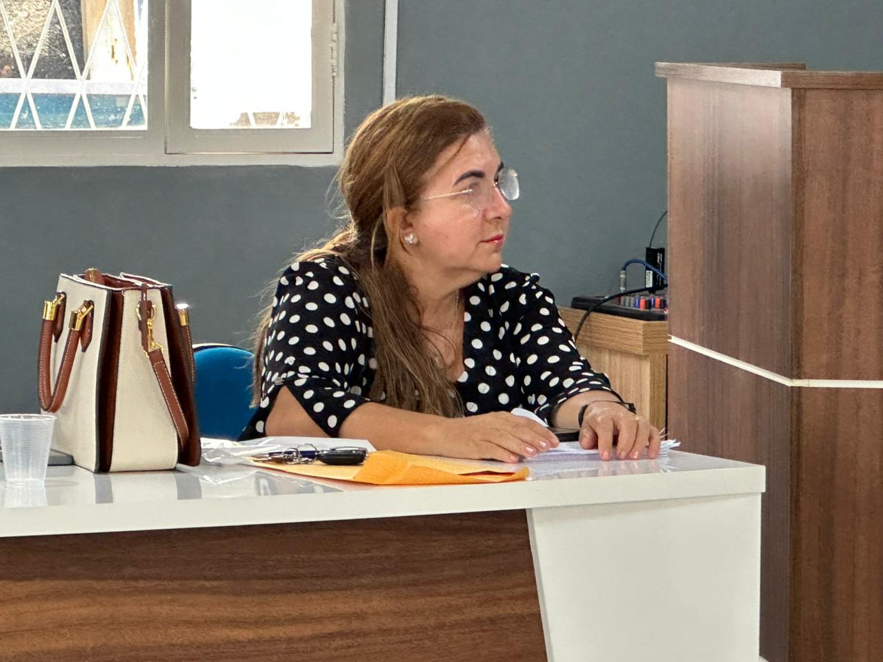 Audiência pública reforça transparência e cumprimento de metas fiscais no município - Imagem 7