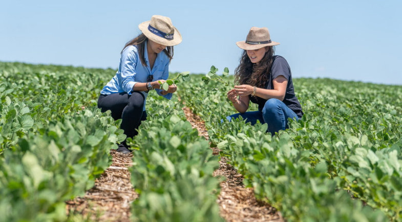 Fomento Mulher amplia oportunidades e fortalece produção no campo em Nossa Senhora dos Remédios