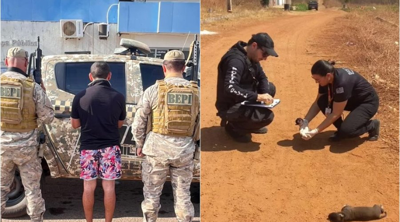 Homem preso suspeito de matar filhotes de cadela | Reprodução