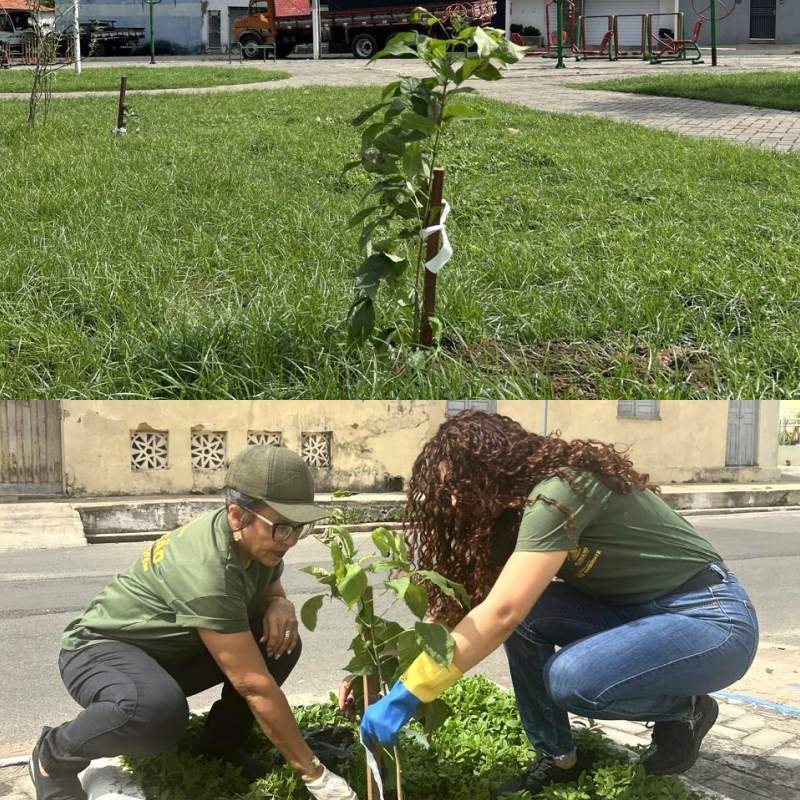 Praças e espaços públicos de Floriano recebem plantio de espécies nativas e frutíferas - Foto: Prefeitura de FlorianoPraças e espaços públicos de Floriano recebem plantio de espécies nativas e frutíferas - Foto: Prefeitura de Floriano
