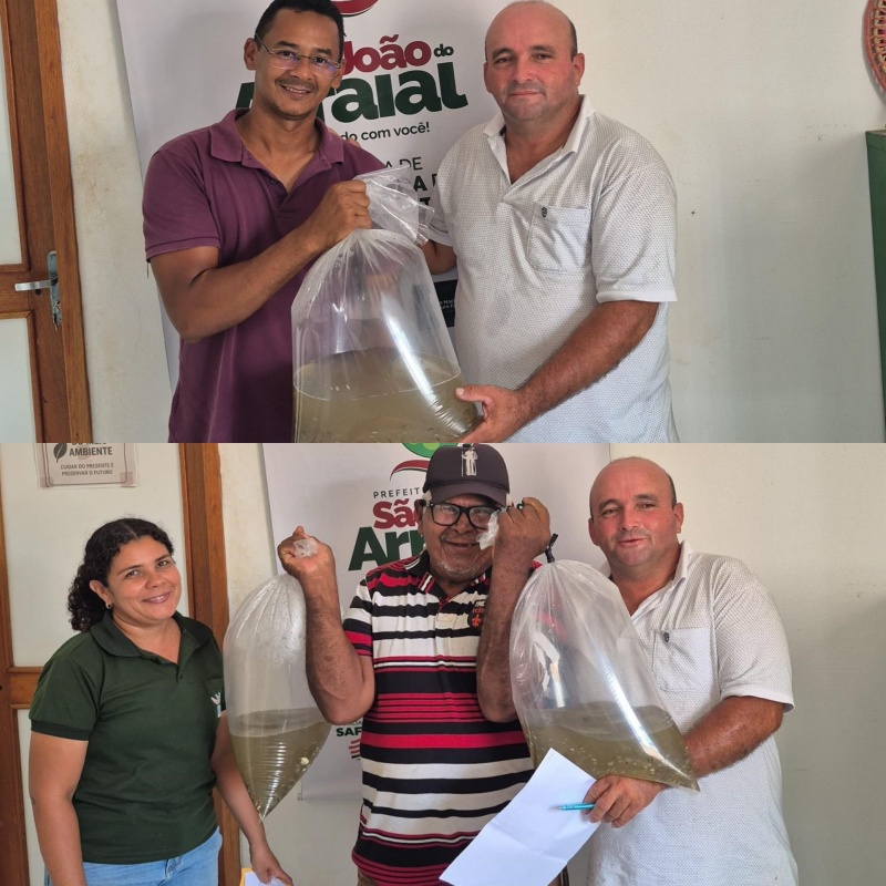 Prefeitura de São João do Arraial entrega 50 mil alevinos para fortalecer piscicultura no município | Divulgação/AscomPrefeitura de São João do Arraial entrega 50 mil alevinos para fortalecer piscicultura no município | Divulgação/Ascom