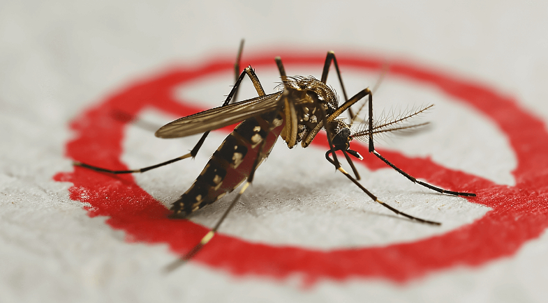 Prefeitura de Caracol intensifica ações de prevenção à dengue