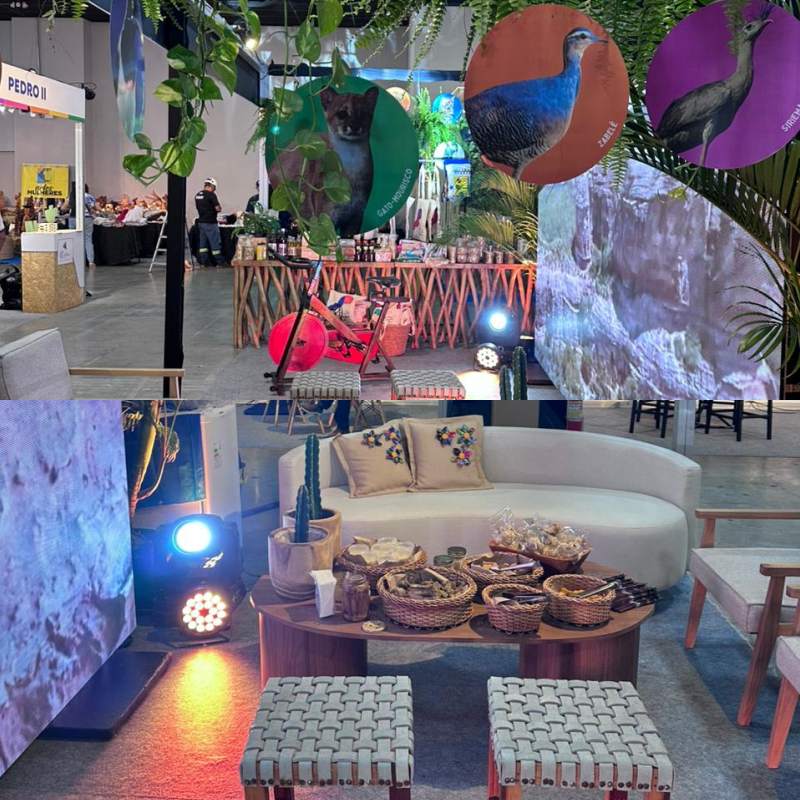 Caracol apresenta atrativos turísticos e cultura local durante a FETUR - Divulgação/ASCOM