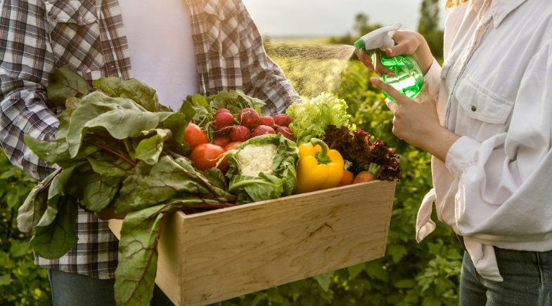 Prefeitura de Caxingó realiza mutirão para emissão e atualização do CAF