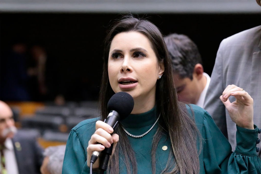 Foto: Deputada Federal Caroline de Toni (PL-SC)