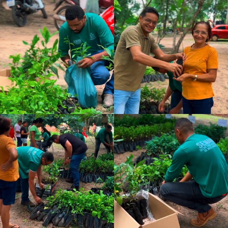 Monsenhor Gil realiza segunda etapa do projeto Meu Quintal Produtivo | Divulgação/Secom