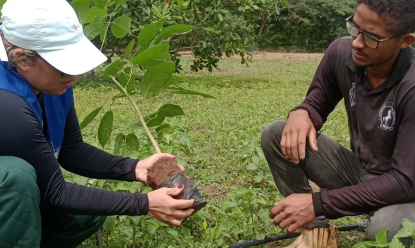 São Miguel da Baixa Grande executa medidas de preservação e restauração ambiental | Divulgação/Secom