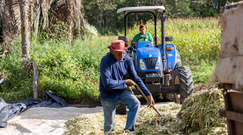Programa de Silagem de Milho beneficia mais de 200 produtores na zona rural de Uruçuí