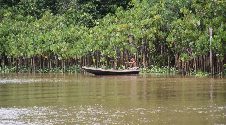 A Vida Mudou: benefício social garante renda e dignidade no litoral do Piauí