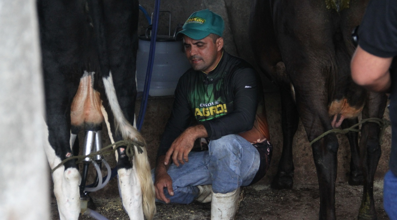 A vida mudou: Programa de Produção de Alimentos fortalece produção de leite no interior do Piauí