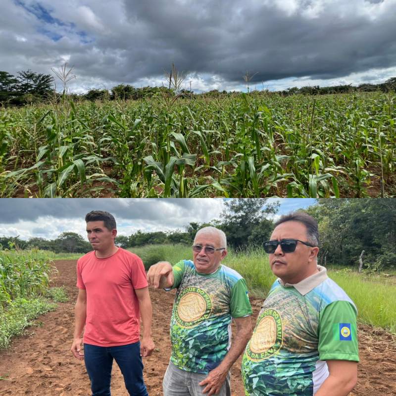 Parceria com Embrapa fortalece pesquisa para melhoramento da fava em Tanque do Piauí - Divulgação/ASCOM