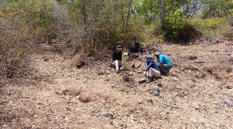Descoberta arqueológica em Arraial: Fóssil de preguiça-gigante de 33 mil anos é identificado no município