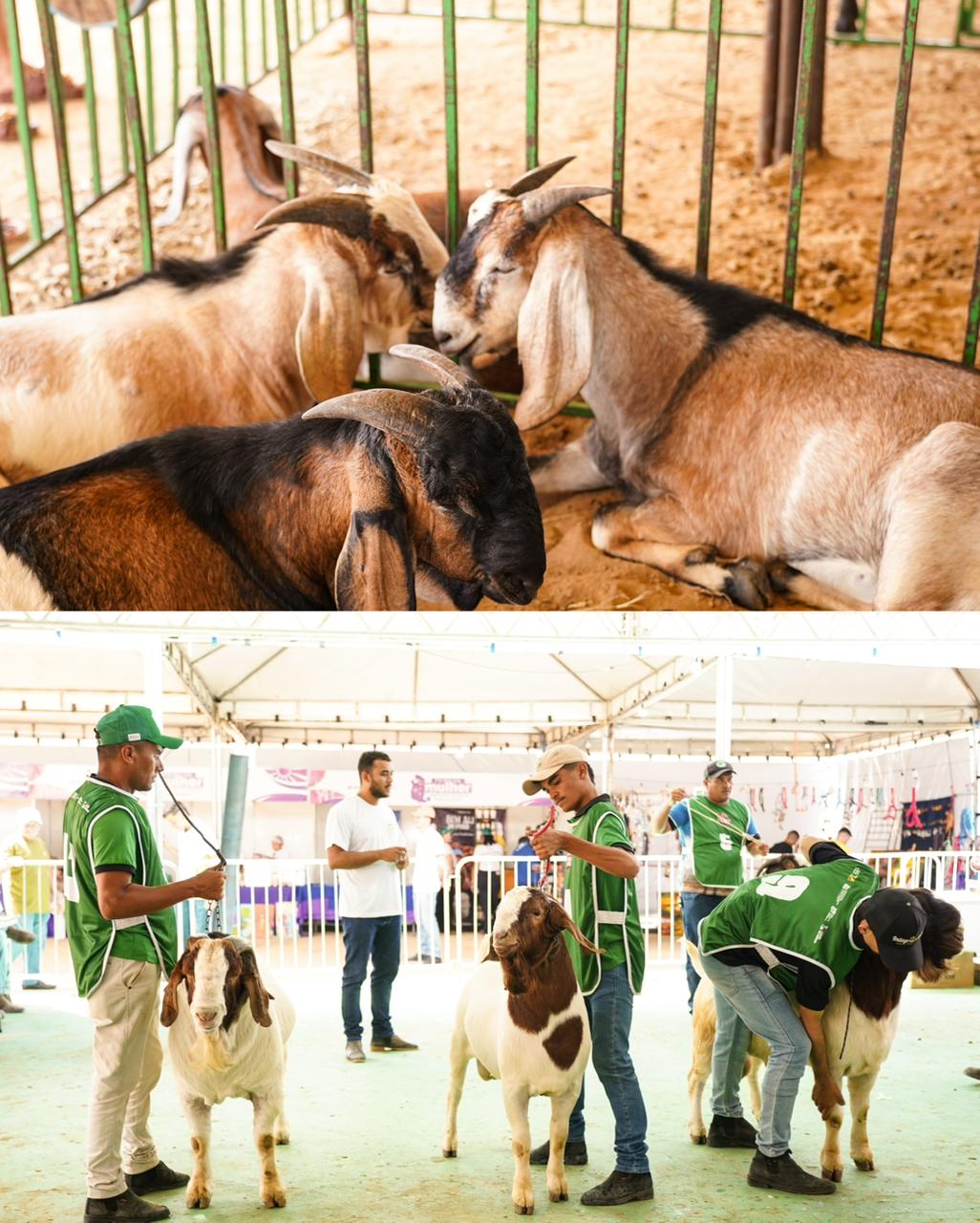 Lagoa do Barro do Piauí celebra aniversário com recorde de público e balanço positivo da gestão - Imagem 2