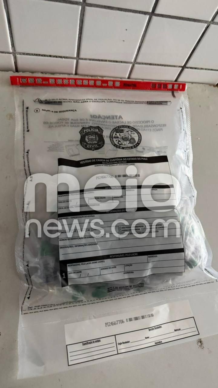 Foto: Divulgação - Material apreendido