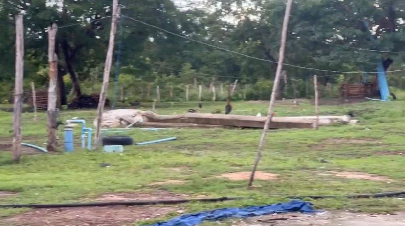 Foto: Divulgação/SSP-PI - Sitio onde as drogas foram encontradas