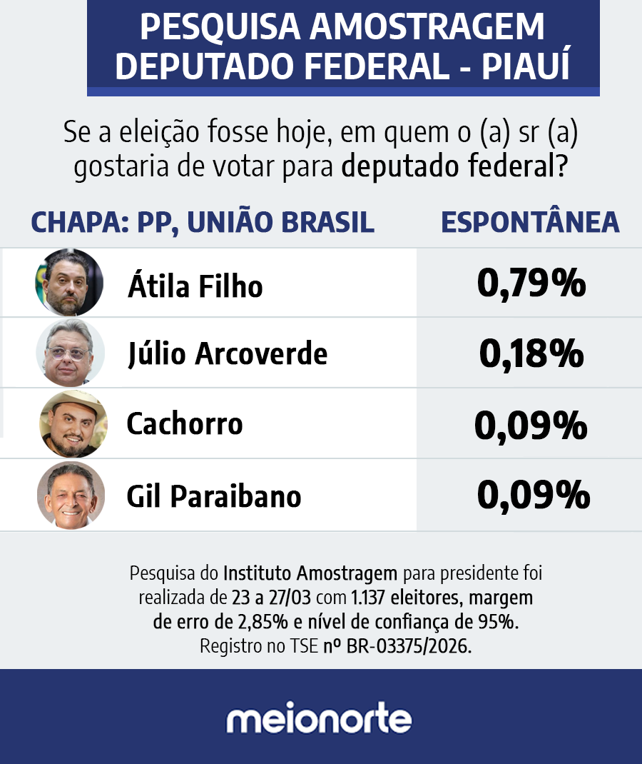 Pesquisa Amostragem: Veja resultado em cada chapa para deputado federal no Piauí - Imagem 5