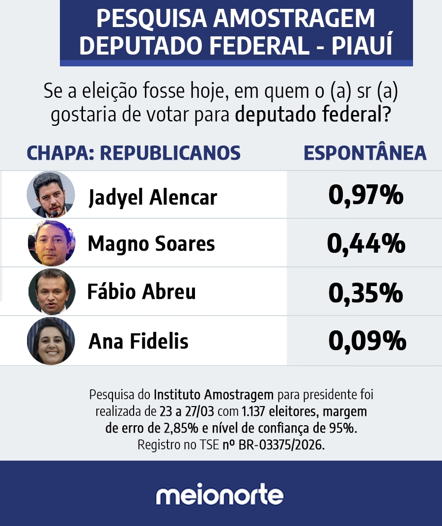 Pesquisa Amostragem: Veja resultado em cada chapa para deputado federal no Piauí - Imagem 3