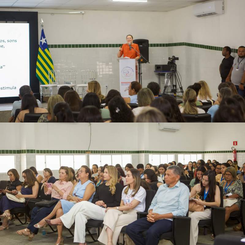 Curso de Agentes Públicos para o Cuidado da Primeira Infância no Estado do Piauí - Divulgação/ASCOMCurso de Agentes Públicos para o Cuidado da Primeira Infância no Estado do Piauí - Divulgação/ASCOM