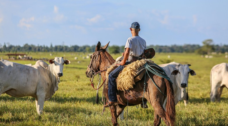 Produtores rurais são convocados para atualização cadastral da ADAPI em Vera Mendes