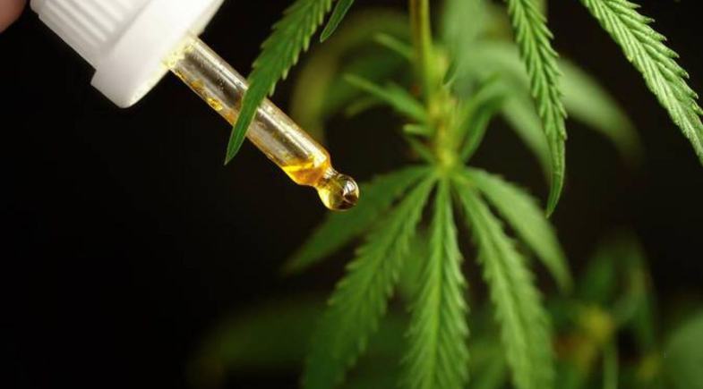Anvisa proíbe a venda e a divulgação de dois remédios à base de cannabis 
