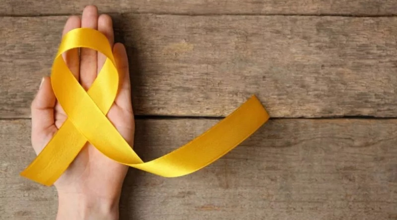 Maio Amarelo: palestra discutirá segurança no trânsito em Francinópolis