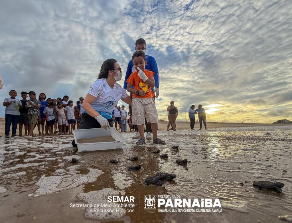 Prefeitura de Parnaíba reforça preservação ambiental com ação na Pedra do Sal - Divulgação/ASCOMPrefeitura de Parnaíba reforça preservação ambiental com ação na Pedra do Sal - Divulgação/ASCOM