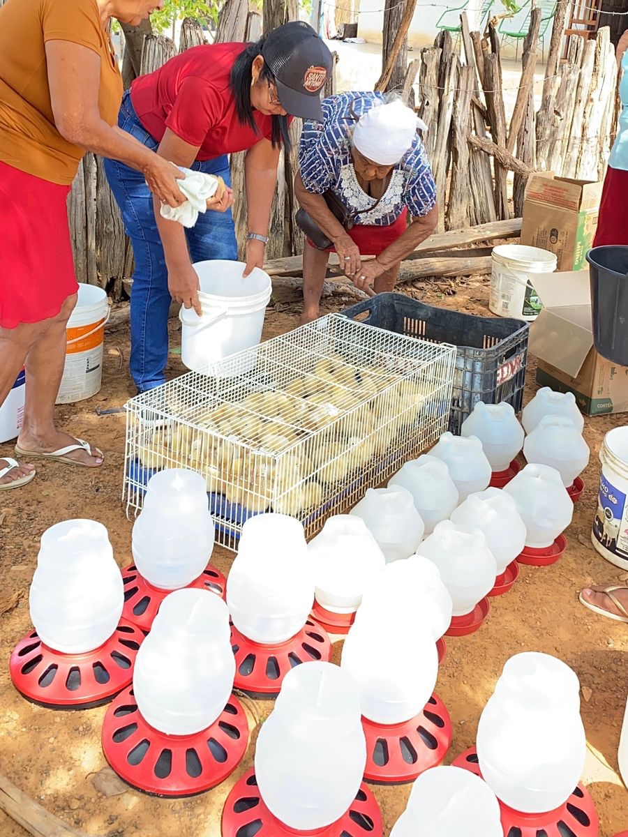 Projeto Fomento Rural Municipal  em Arraial - Foto: Prefeitura de Arraial