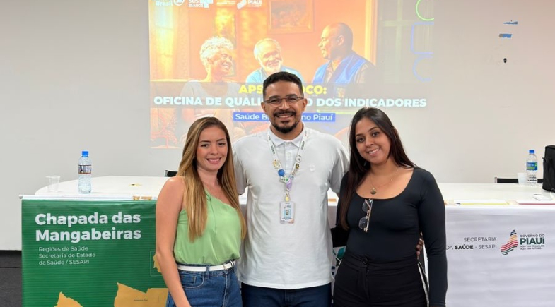 Secretaria de Saúde de Avelino Lopes participa de oficina de qualificação em Bom Jesus