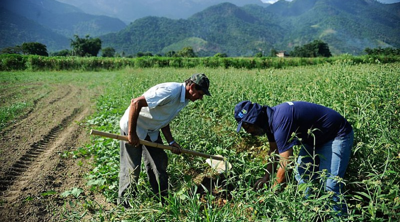 Prefeitura de Avelino Lopes abre cadastro para agricultores no PAA