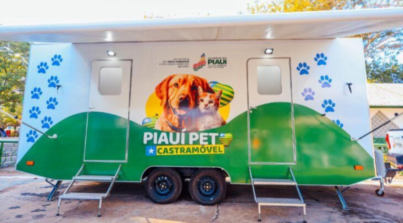 Prefeitura de Castelo do Piauí realiza castração gratuita e combate abandono de pets