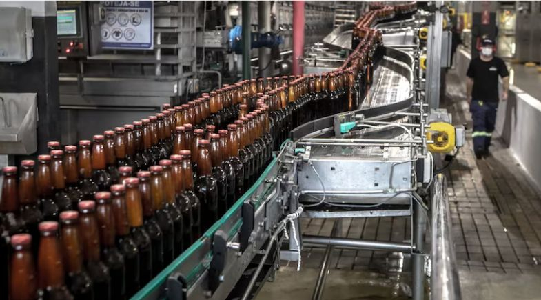 Produção de cerveja cresce no Brasil  | Foto: Bloomberg Intelligence 