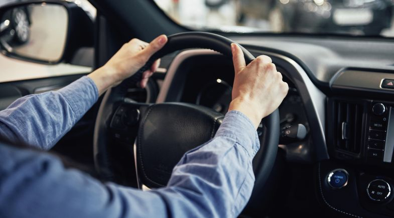 Pessoa ao volante  | Reprodução/ Freepink