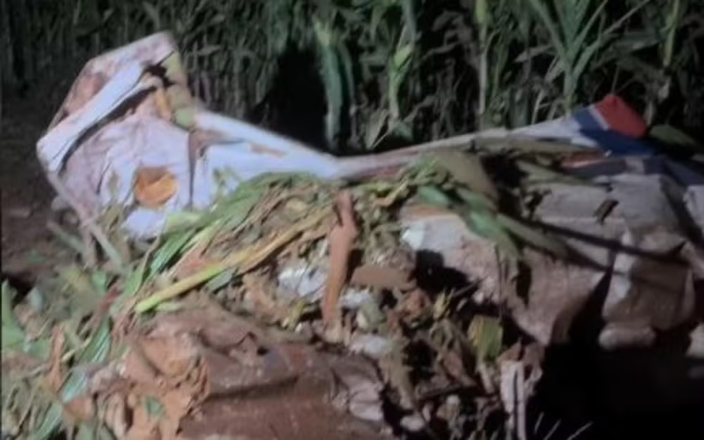 Destroços do avião - Foto: Reprodução/TV Anhanguera