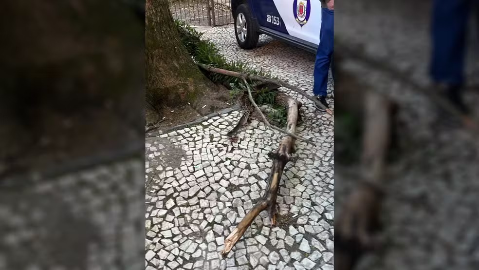 Jovem sofre ferimentos graves após ser atingida por galho de árvore em praça de Curitiba — Foto: Arquivo Familiar 
