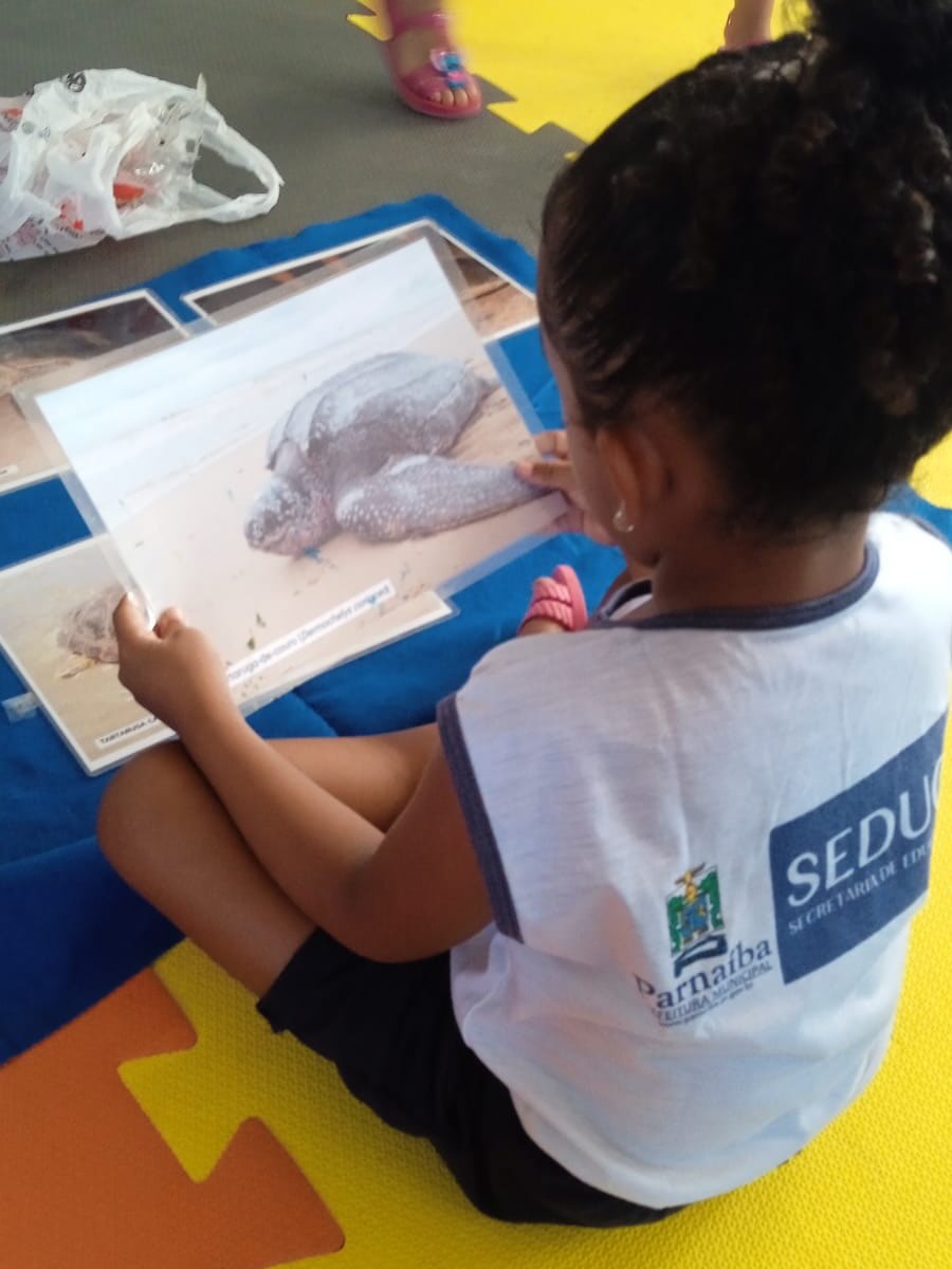 Parnaíba promove ação educativa sobre preservação das tartarugas marinhas - Foto: Divulgação/ASCOM